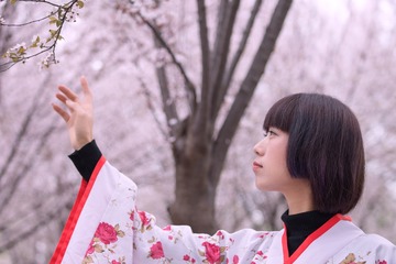穿汉服的成熟女子樱花林中肖像照 (14)