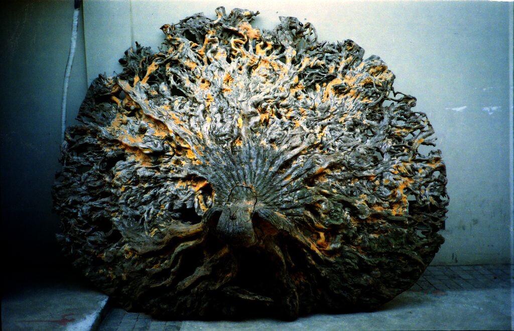别人的作品，等着被发现…