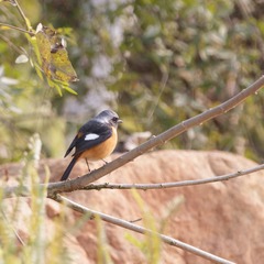 BeiHuGongYuan_20131228_43