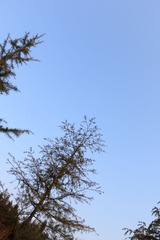 XiaoBu_20140101_37