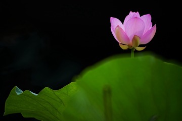 001