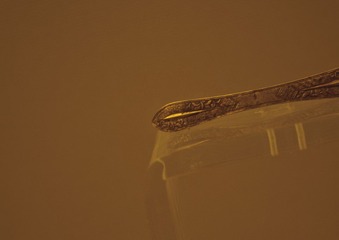 _DSC0606.jpg