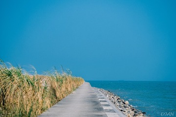 DSC_0051-Edit-2