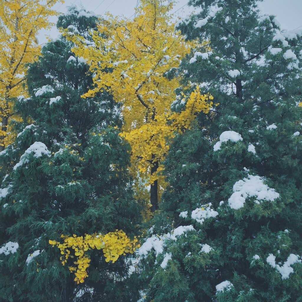 北京第一场雪。