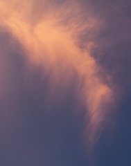 E6CA9650-7A75-4306-9631-64A04BB068BD/L0/001
