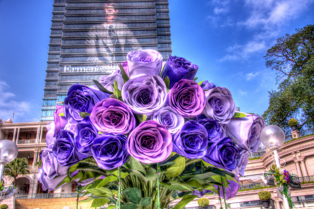 这束大花见证一了一对又一对新人眼睛的幸福,听到了多少次"我愿意".