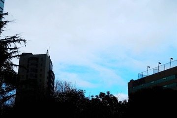 2019-01-31 006