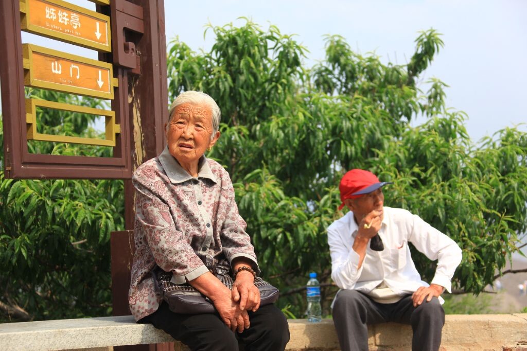 伴