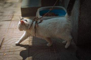 走出阴霾