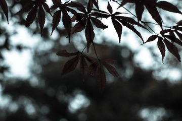 1252055