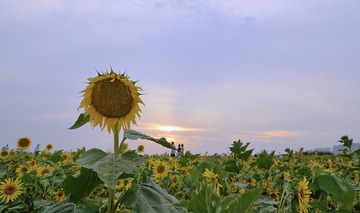 F503CA25-938D-4C28-B68E-934C6158147F/L0/001