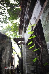 无人村，好诡异的所在