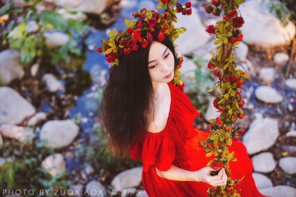 摇。曳【佐小夕】