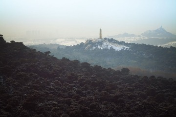 IMG_4497-1