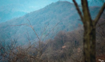 山