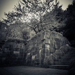 _DSC1520