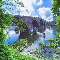 _DSC1227 (2)