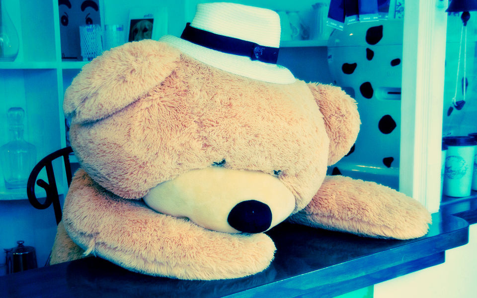 big bear in big head cafe