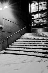 Snowing VIII