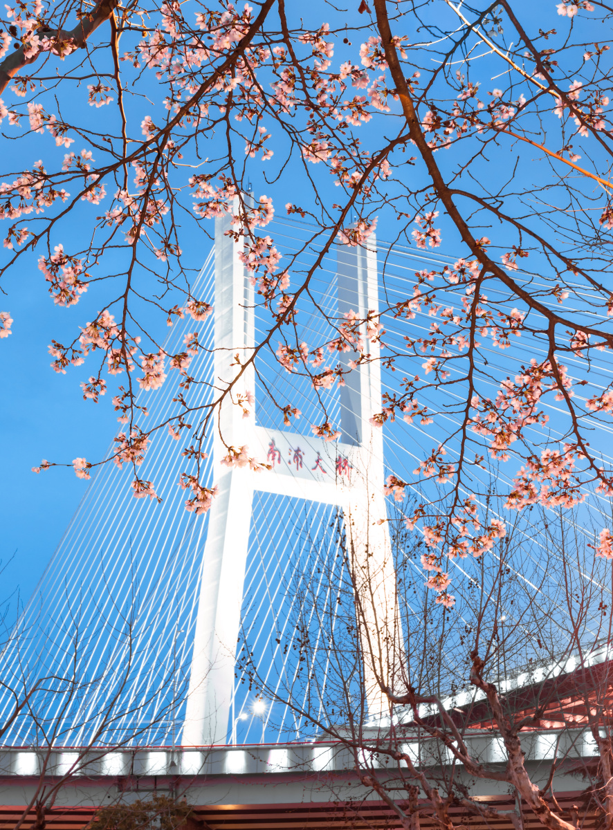 南浦大桥 - eszan - 图虫