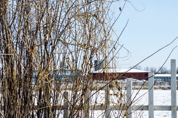 IMGP9806_1_1