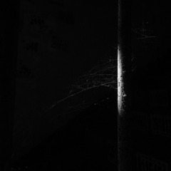 DSCN1145-2