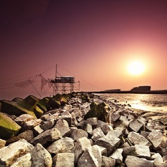 _MG_5462.jpg