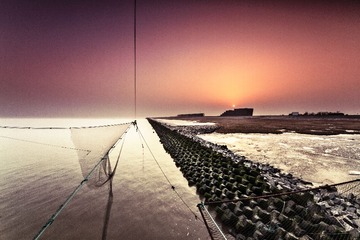 _MG_5516.jpg