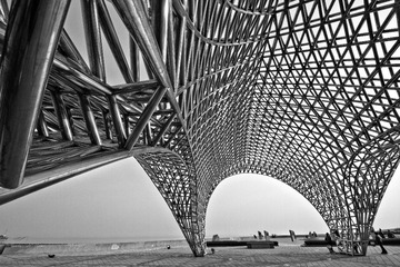 _MG_5435.jpg