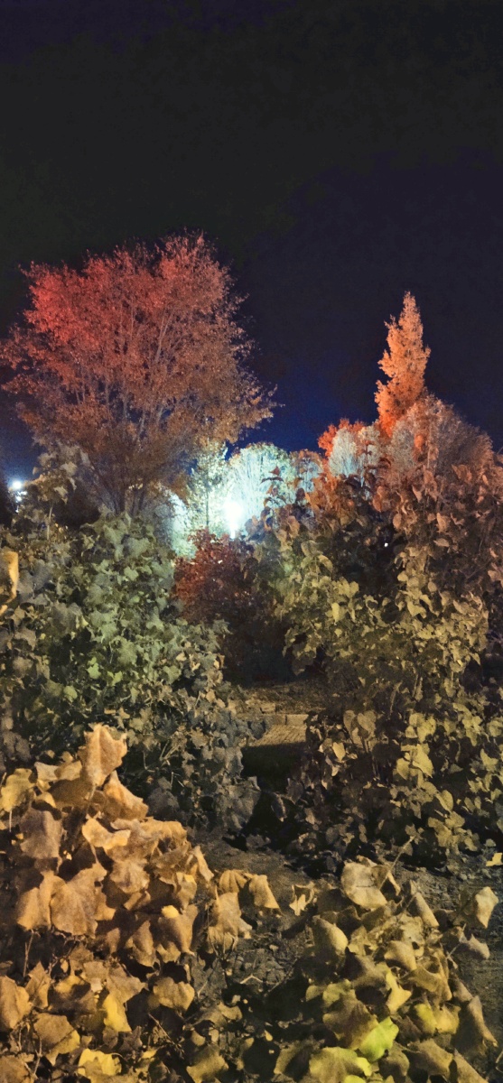 秋天的夜色如此美丽