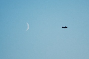 IMG_2731.jpg