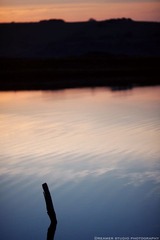 IMG_2750.jpg