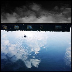 reflection.