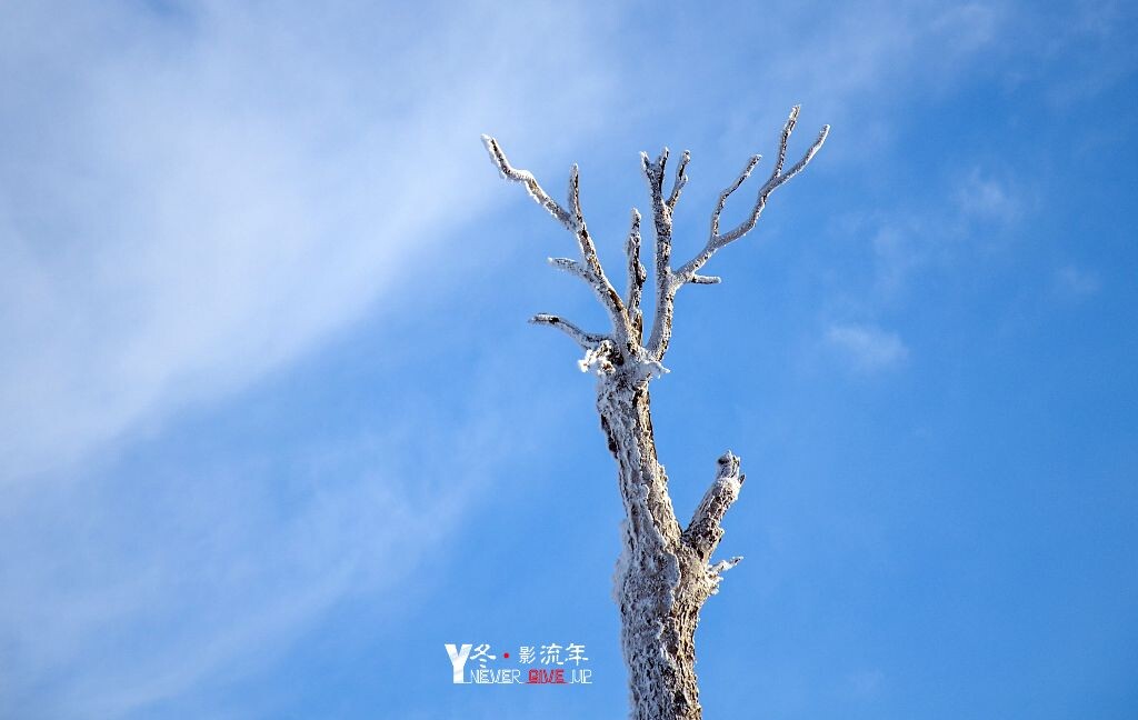 这是在缆车上山的途中 · · ·