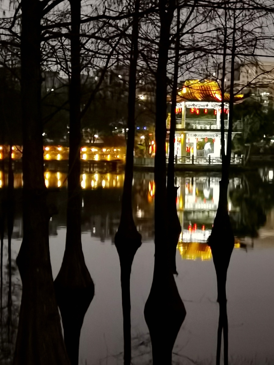 龙潭公园夜景