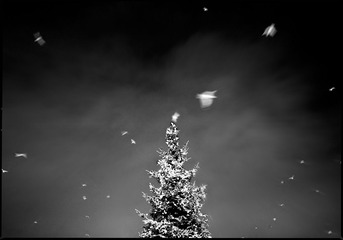 20120125_007.jpg