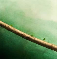 20120125_009.jpg