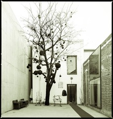 20121201_012.jpg