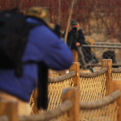 OlymPark131224005