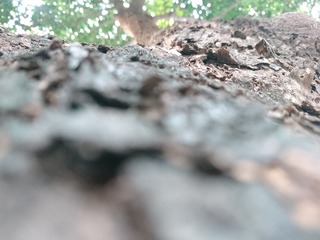 645204