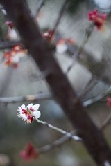 谁怜