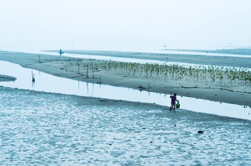 IMG_6177[1]