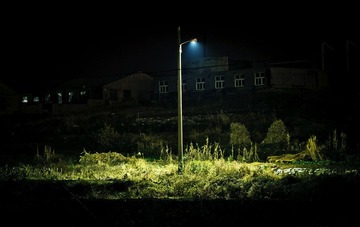 IMG_9841.jpg
