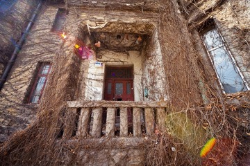 IMG_814326529IMG_8143.jpg