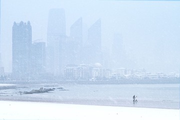 ZC920850.jpg
