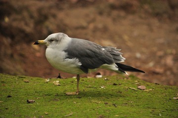 DSC_3220.JPG