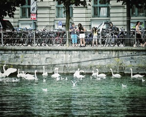 IMG_0119qq.jpg
