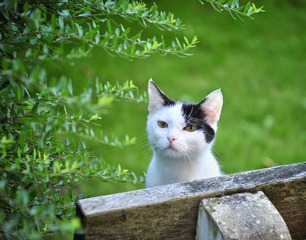 IMG_0291.JPG