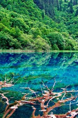 九寨水