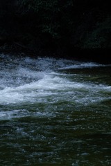 9CB1290C-E3A7-4D1F-B0EF-5E45AE04BEE2/L0/001